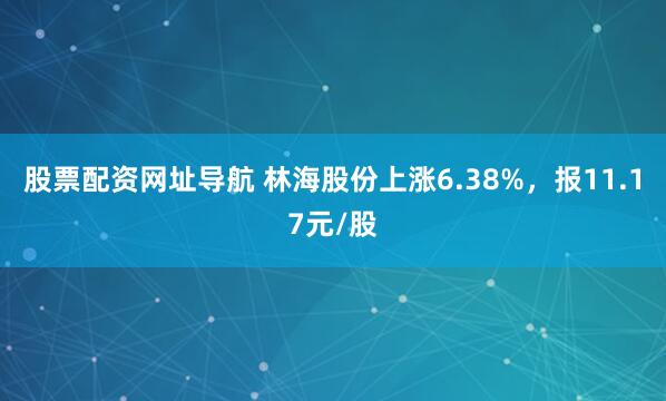 股票配资网址导航 林海股份上涨6.38%，报11.17元/股