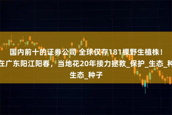 国内前十的证券公司 全球仅存181棵野生植株！都在广东阳江阳春，当地花20年接力拯救_保护_生态_种子