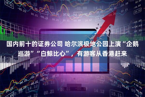 国内前十的证券公司 哈尔滨极地公园上演“企鹅巡游”“白鲸比心”，有游客从香港赶来